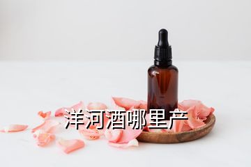 洋河酒哪里產(chǎn)