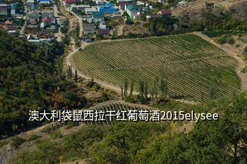 澳大利袋鼠西拉干紅葡萄酒2015elysee