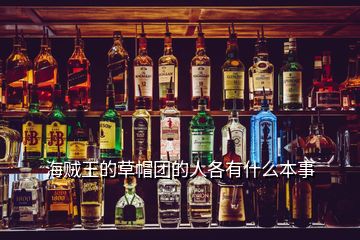 海賊王的草帽團的人各有什么本事