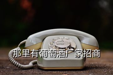 那里有葡萄酒廠家招商