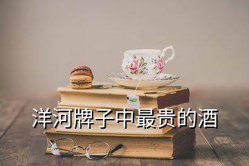 洋河牌子中最貴的酒