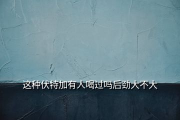 這種伏特加有人喝過嗎后勁大不大