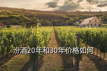 汾酒20年和30年價(jià)格如何