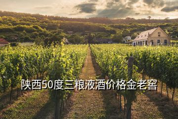 陜西50度三糧液酒價格金老窖