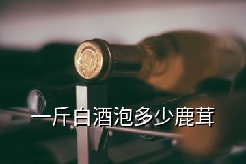 一斤白酒泡多少鹿茸