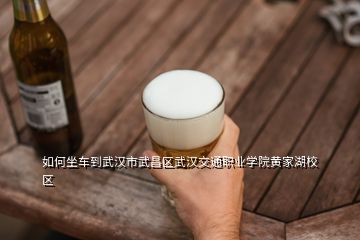 如何坐車到武漢市武昌區(qū)武漢交通職業(yè)學(xué)院黃家湖校區(qū)