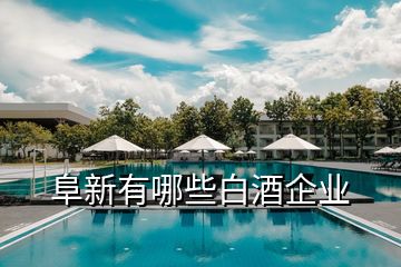 阜新有哪些白酒企業(yè)