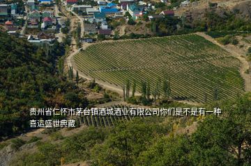 貴州省仁懷市茅臺(tái)鎮(zhèn)酒城酒業(yè)有限公司你們是不是有一種喜運(yùn)盛世典藏