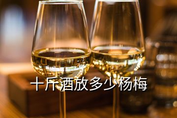 十斤酒放多少楊梅