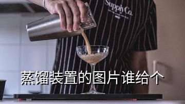 蒸餾裝置的圖片誰(shuí)給個(gè)