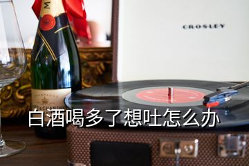 白酒喝多了想吐怎么辦