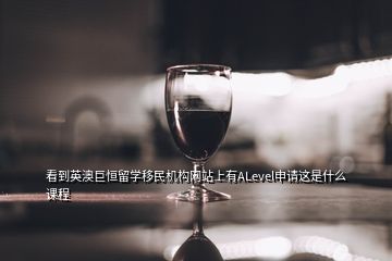 看到英澳巨恒留學移民機構(gòu)網(wǎng)站上有ALevel申請這是什么課程