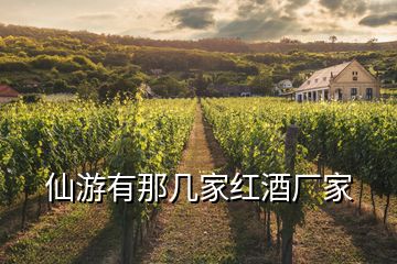 仙游有那幾家紅酒廠家