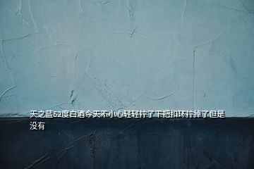 天之藍(lán)52度白酒今天不小心輕輕擰了下把扣環(huán)擰掉了但是沒有