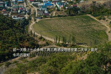 前一天晚上七點(diǎn)多喝了兩三兩酒沒(méi)啥感覺(jué)第二天早上能開(kāi)車(chē)嗎百度知