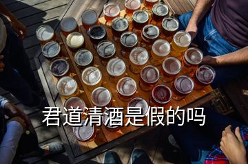 君道清酒是假的嗎