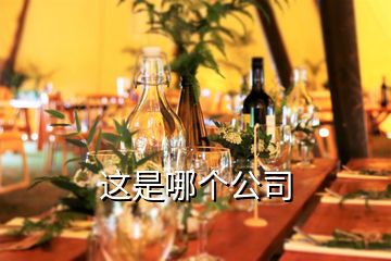 這是哪個(gè)公司