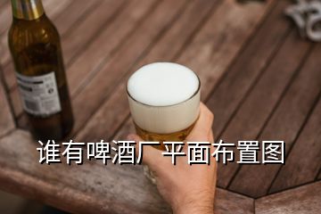 誰(shuí)有啤酒廠平面布置圖