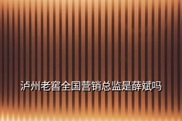 瀘州老窖全國營銷總監(jiān)是薛斌嗎