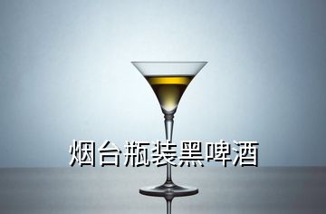 煙臺瓶裝黑啤酒