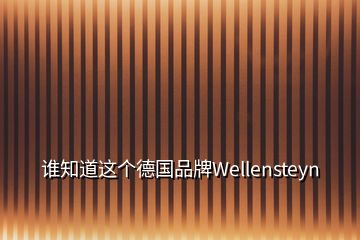 誰知道這個德國品牌Wellensteyn