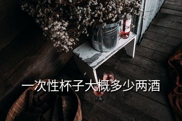 一次性杯子大概多少兩酒