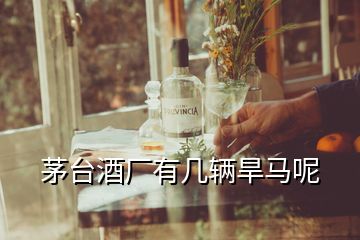 茅臺(tái)酒廠有幾輛旱馬呢