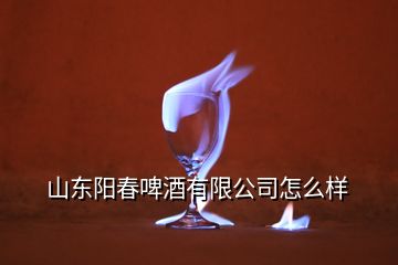 山東陽春啤酒有限公司怎么樣