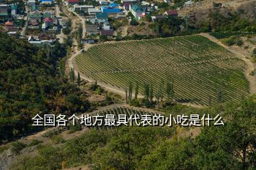 全國(guó)各個(gè)地方最具代表的小吃是什么