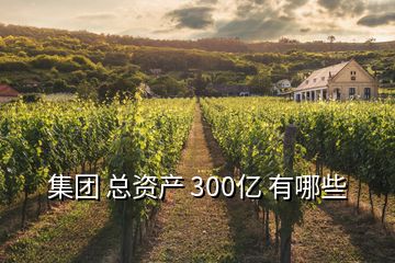 集團(tuán) 總資產(chǎn) 300億 有哪些
