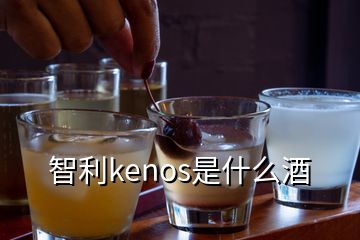 智利kenos是什么酒