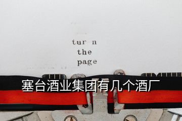 塞臺(tái)酒業(yè)集團(tuán)有幾個(gè)酒廠