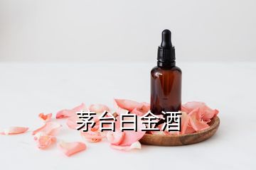 茅臺(tái)白金酒