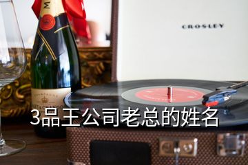 3品王公司老總的姓名