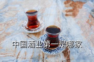 中國酒業(yè)第一是哪家