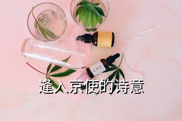 逢入京使的詩意