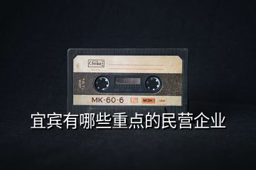 宜賓有哪些重點的民營企業(yè)