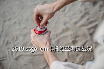 2019 csgo iem卡托維茲海選戰(zhàn)況