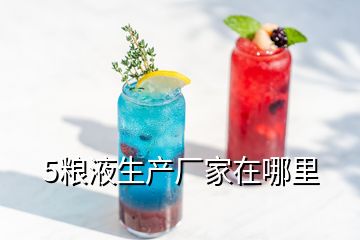 5糧液生產(chǎn)廠家在哪里