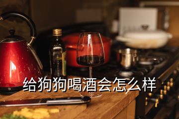 給狗狗喝酒會怎么樣