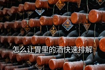 怎么讓胃里的酒快速排解