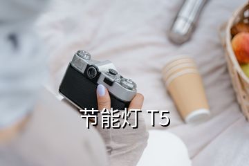 節(jié)能燈 T5