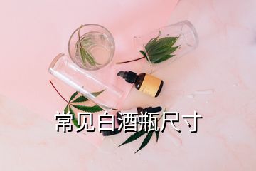 常見白酒瓶尺寸