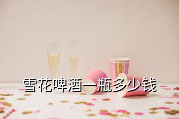 雪花啤酒一瓶多少錢