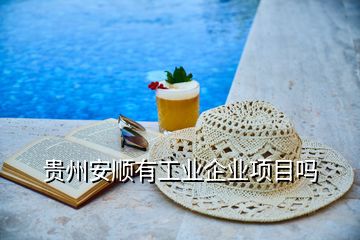 貴州安順有工業(yè)企業(yè)項目嗎