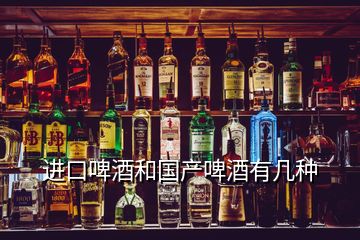 進(jìn)口啤酒和國產(chǎn)啤酒有幾種