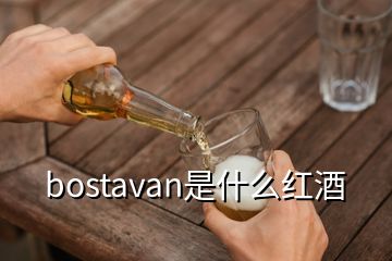 bostavan是什么紅酒