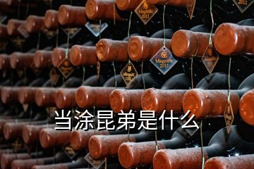 當(dāng)涂昆弟是什么