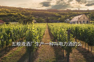 五糧液酒廠生產(chǎn)一種叫電力酒的么