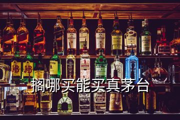 擱哪買能買真茅臺(tái)